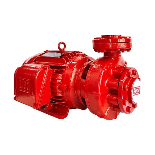 RGC-13_1